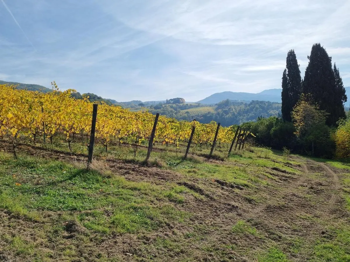Podere Vecci Dicomano 0*,  Italia